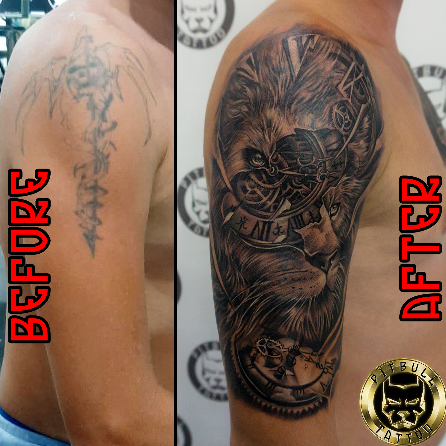 Dylan Weber on Instagram Healed Lion  Thank you Ryan for trusting me  with your cover up Swipe for stencil atlntsstudio lion coverup  liontattoo blackandgrey 