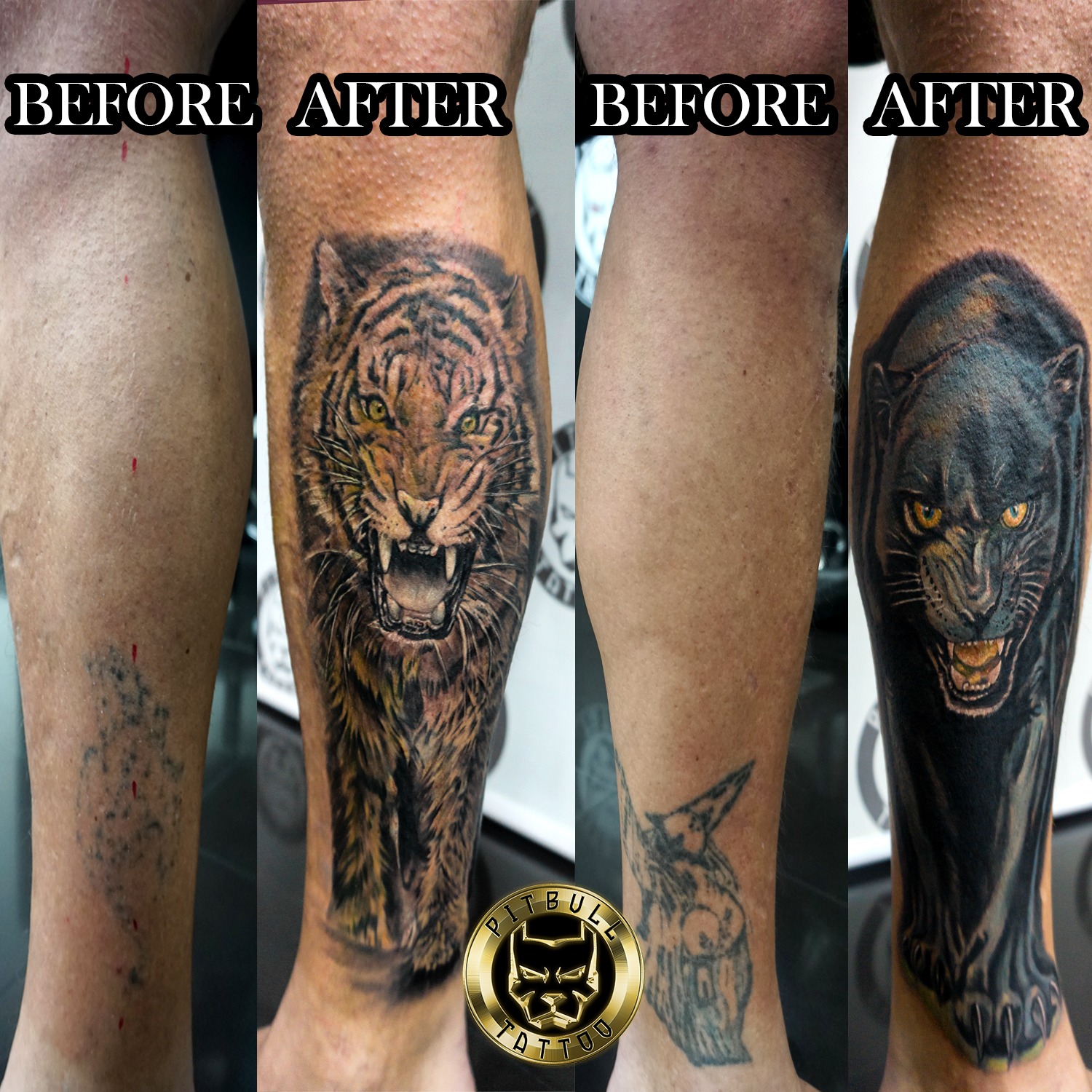 ArtStation  Tiger tattoo cover up